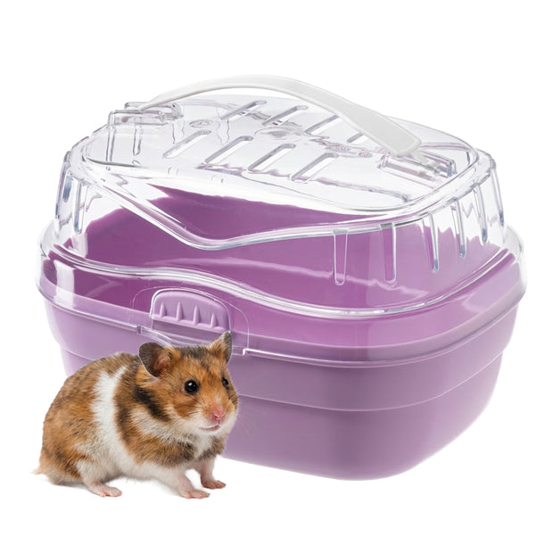 ALADINO SMALL