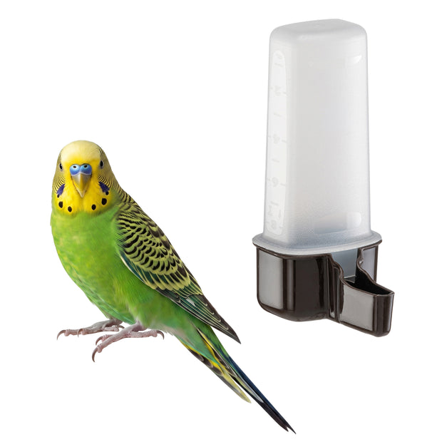 Water or food dispenser for birds