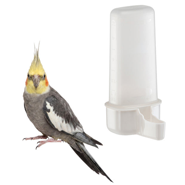 Water or food dispenser for birds
