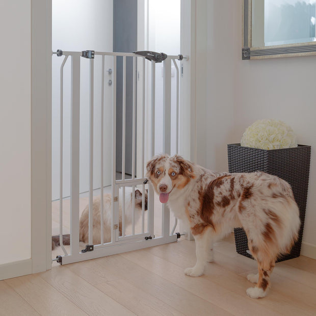 PET GATE
