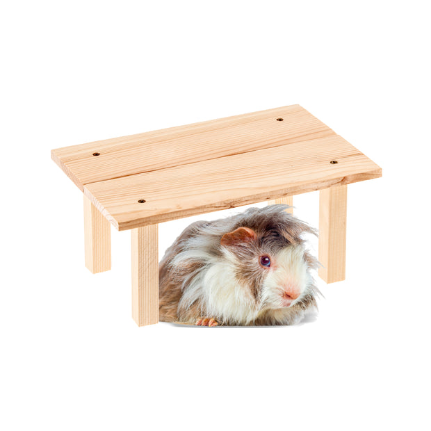 ARCADE TABLE Wooden toy for small animals