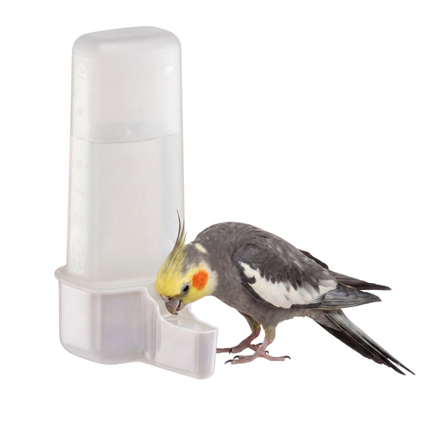 Water or food dispenser for birds