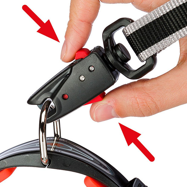 DAYTONA GUMMY MATIC G20/100