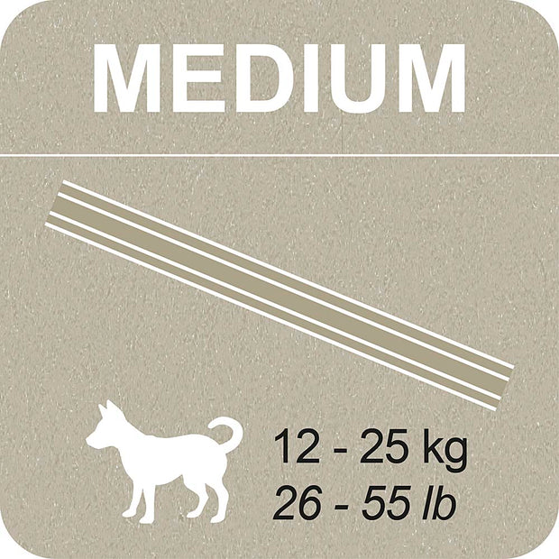 100% SNACK STICKS - SNOWFLAKE MELISSA