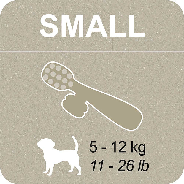 100% SNACK FILLABLE - TOOTHBRUSH ASCOPHILLUM
