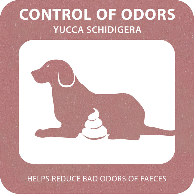 100% SNACK COOKIE - BONE YUCCA