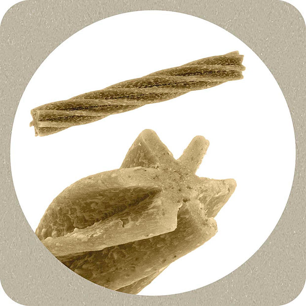 100% SNACK STICKS - FUSILLI ASCOPHILLUM