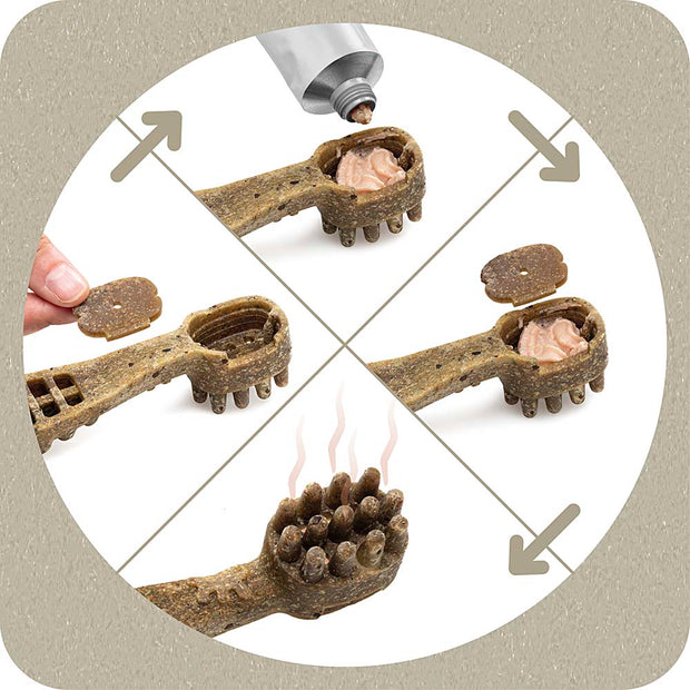 100% SNACK FILLABLE -  TOOTHBRUSH ASCOPHILLUM