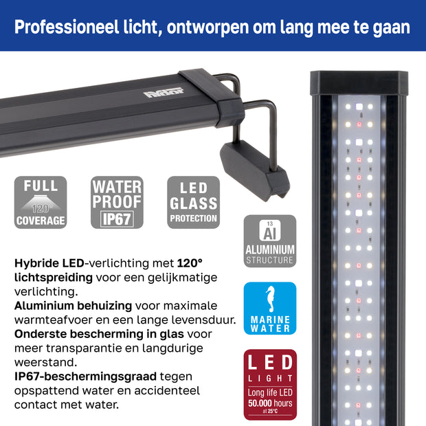 AQ-LUX REEF Lamp