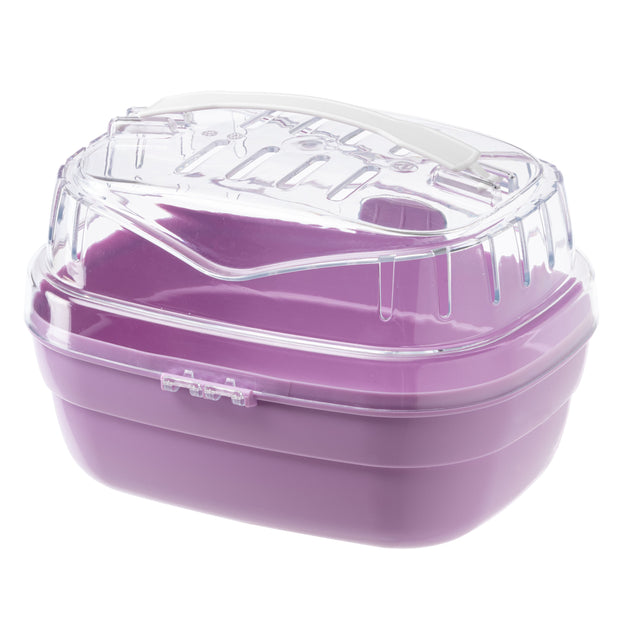ALADINO SMALL