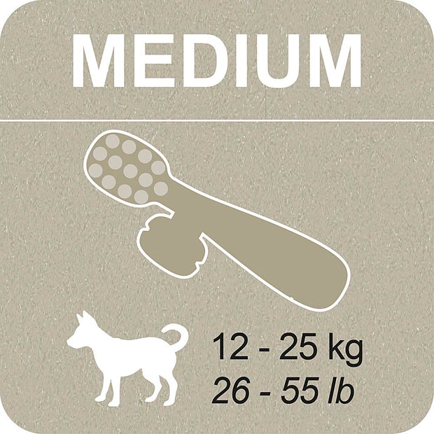 100% SNACK FILLABLE - TOOTHBRUSH EUGLENA