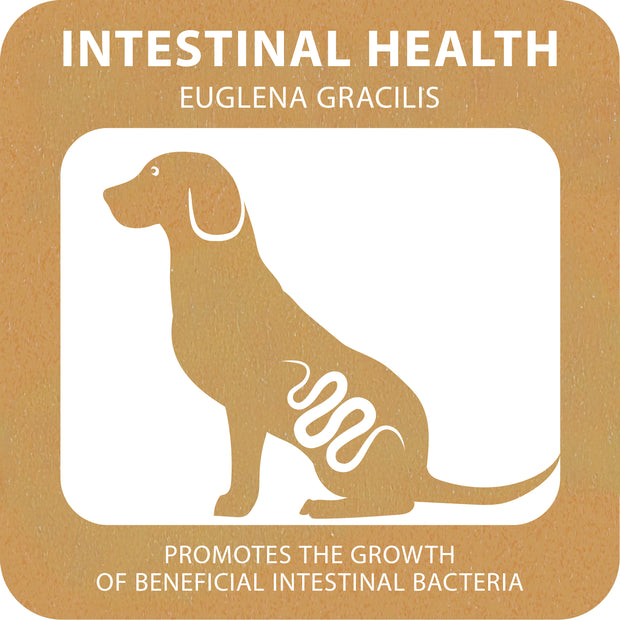 100% SNACK COOKIE - FERPY EUGLENA